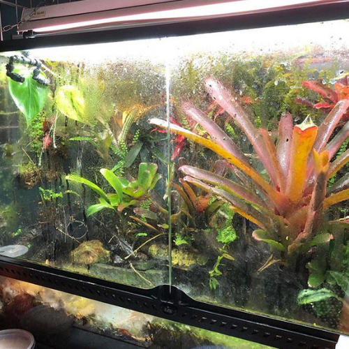 vivarium vivarium